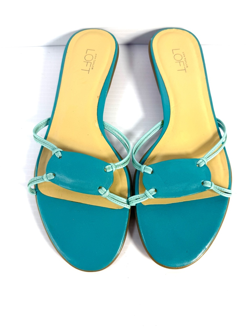 LOFT Teal and Aqua Slide Sandals